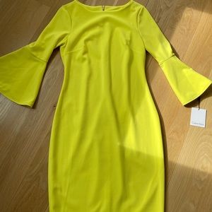 NWT Calvin Klein Citron Dress size 4